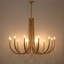 Lustre classique / traditionnel en acier à 12 lumières à intensité variable Weekes-123298788