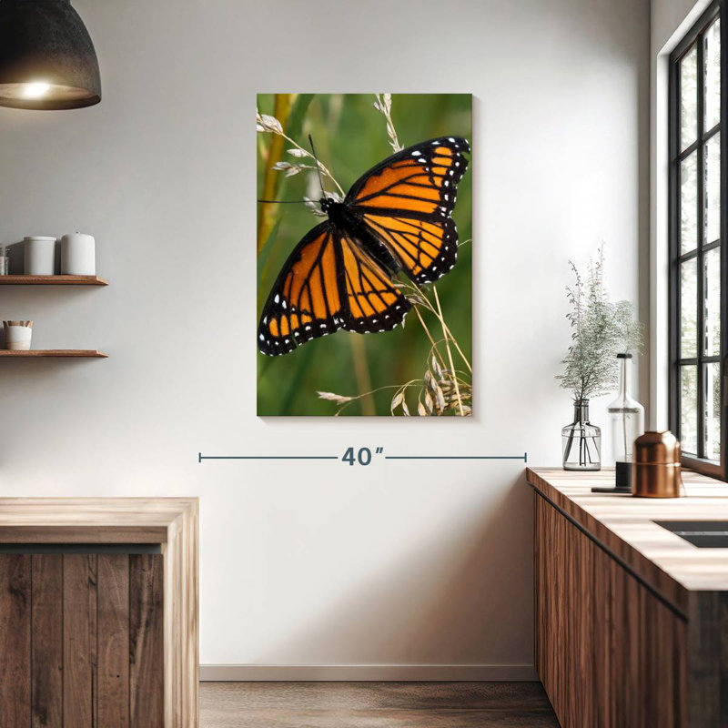 Brampt Monarch Butterfly Up Close, 39" H x 26" W
