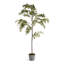 84'' Faux Maple Tree Tree in Ceramic Pot