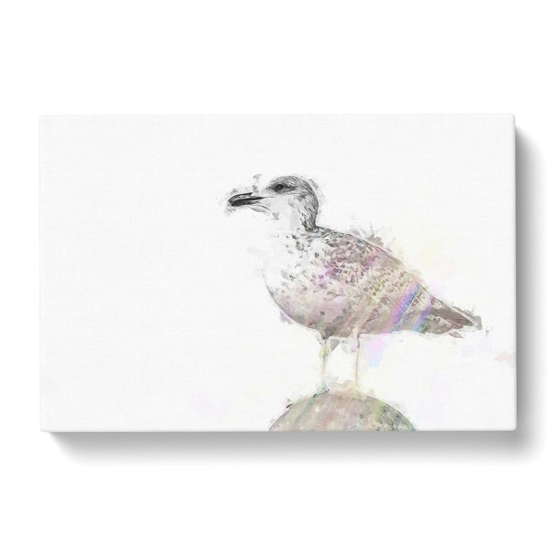 Seagull Bird In The Rainbow In Abstract - Wrapped Canvas Print, 40cm H x 60cm W x 3cm D