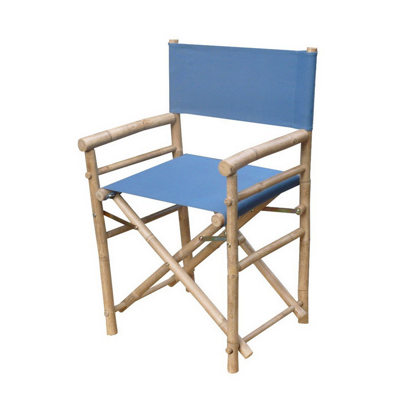 Laseter Folding Director Chair, Navy