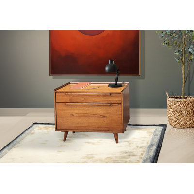 Branchesi 2 Drawer Lateral Filing Cabinet by Wade Logan
