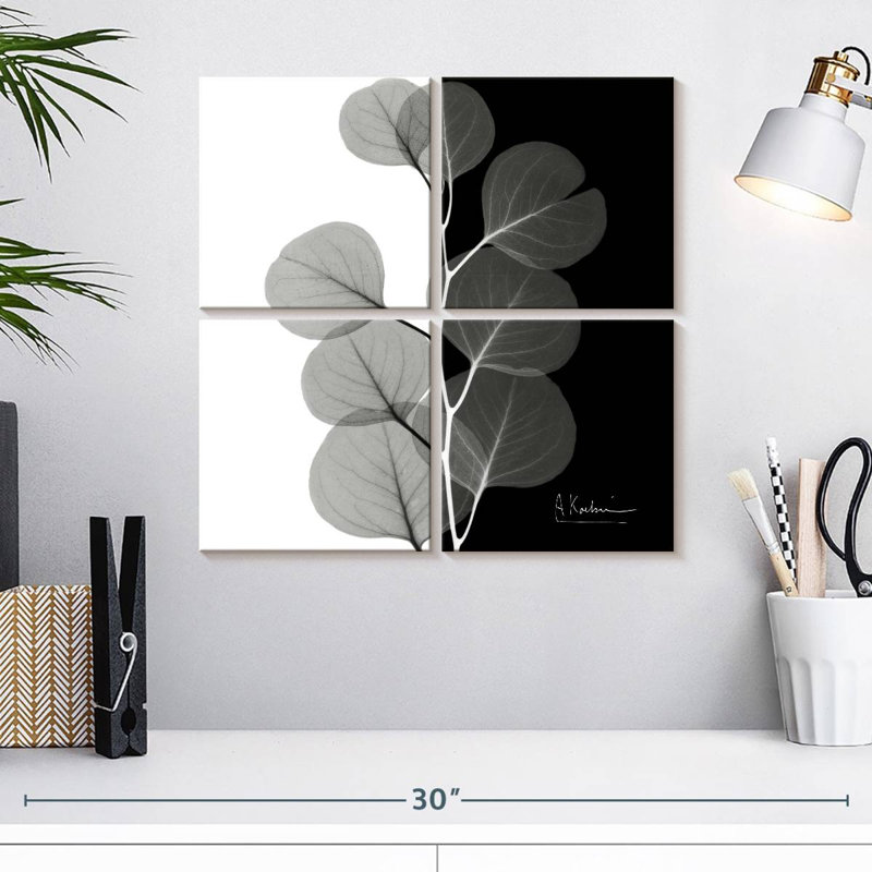 Eucalyptus Harnek VI, H 18 po x l 18 po