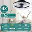 Ceiling Fan with LED Lights