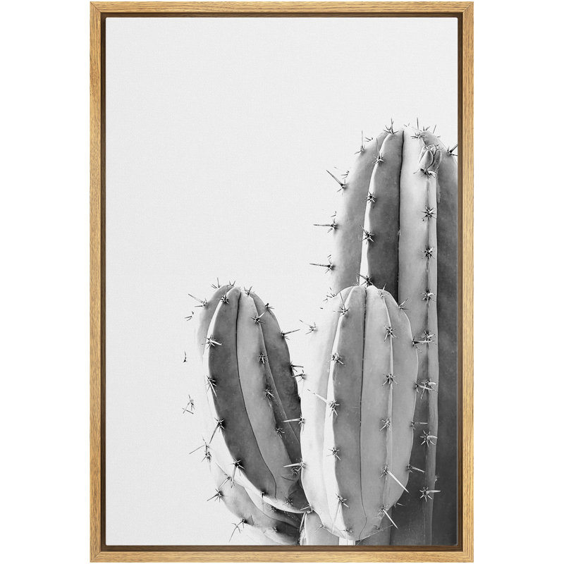 «Black and White Southwest Desert Cactus Modern Botanical», art mural sur toile, H 36 po x l 24 po x P 1,5 po, Brun
