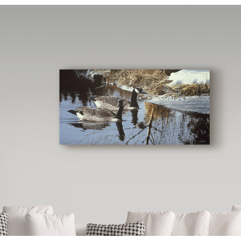 «Spring Arrivées Canada Geese» par Etelca, impression sur toile tendue, H 12 po x l 24 po x P 2 po