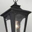 Aadrith Outdoor Hanging Lantern