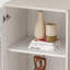 Armoire de rangement avec porte en verre trempé, deux tiroirs et une tablette réglable-1716651305