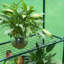 Ellisburg 2.4 Ft W x 4.7 Ft D Mini Greenhouse-604418555