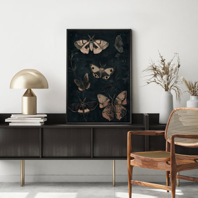 Animals " Moth Butterfly Moody Gothic Animals Dark Floral Botanical Artwork Paintings "