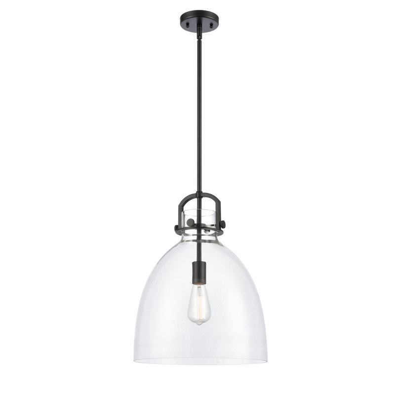 Luminaire suspendu 1 lumière Badillo, Clair, H 18,25 po x l 14 po x P 14 po, Noir mat