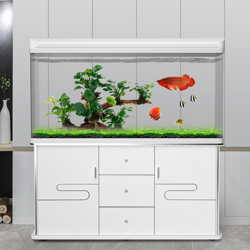 Réservoir d'aquarium moderne en verre 65-70 gallons + bois manufacturé Eco, 70 gallons (H 50,39 po x l 53,15 po x P 11,81 po)