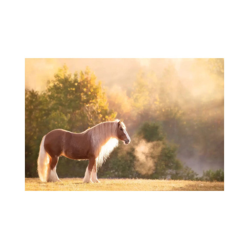 «Golden Lit Horse I» par Phburchett - Toile tendue avec châssis sur toile tendue, H 18 po x l 26 po x P 1,5 po
