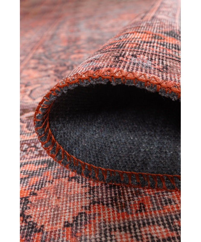Caretta Performance Chenille Washable Oriental Indoor / Outdoor Rug, Rectangle 8'3" x 11'5"