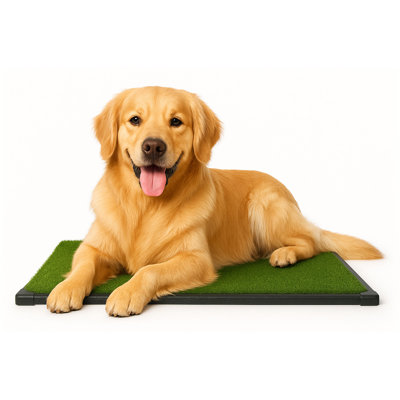 PETMAKER 20x30 Reusable 4-Layer Puppy Pee Pad