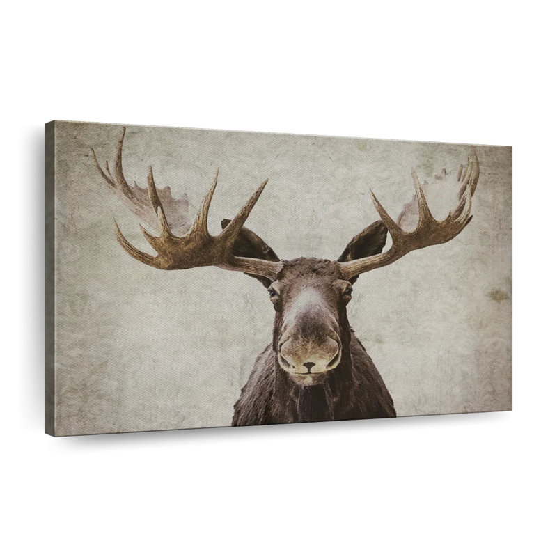 Elmer The Moose Canvas Print, 34" H x 51" W x 1.25" D