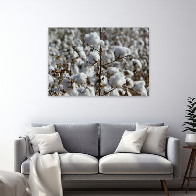 Gros plan sur des plantes de coton dans un champ Wellington, Texas, États-Unis, art floral contemporain abstrait