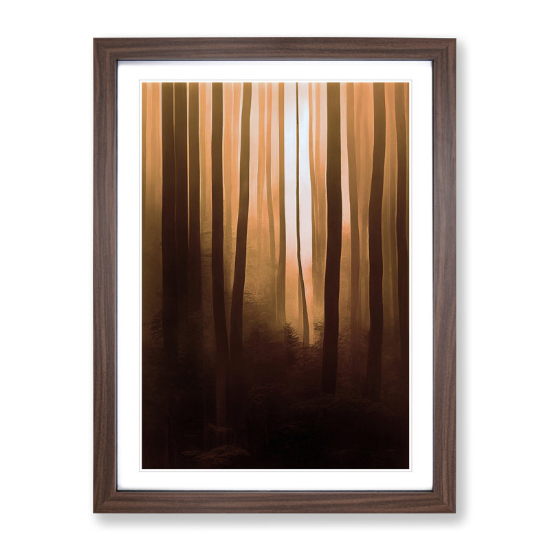 Autumnal Forest No.3 - Single Picture Frame Print, 34cm H x 25cm W x 2cm D, Walnut Framed