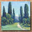 «Cypress Path II» par Tim O'Toole, art mural en verre acrylique-647867007
