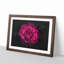 Fuscia Pink Carnation - Picture Frame Graphic Art Print-56863276-56863282