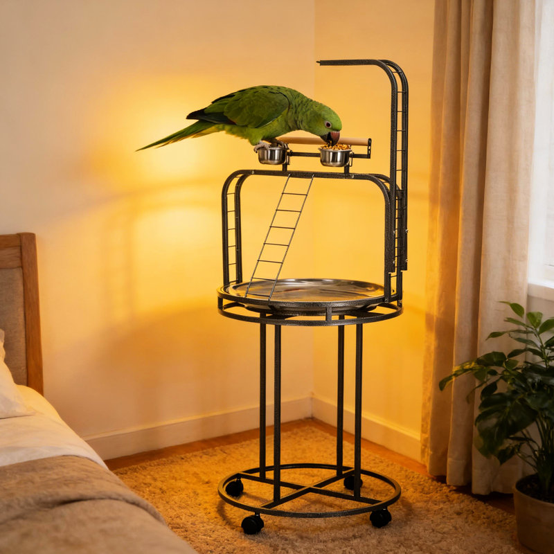 Support à oiseaux avec 3 échelles, crochet et perchoir Easy Grip, gris - idéal pour, etc. Couleur. Perroquets appropriés,. Disque en acier inoxydable, plateau amovible. L 25,2 po x H 63 po x L 27,2 po