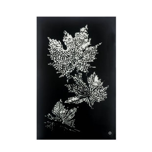 Avaiyah Wall Art W/Led