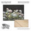 Danhui Nai La Belle Jardinière-1813067407