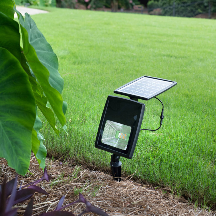 Arlmont & Co. Esbeidy Black Low Voltage Solar Powered Integrated LED Flood  Light & Reviews