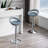 Swivel Adjustable Height Counter Stool with Metal Frame-795627615