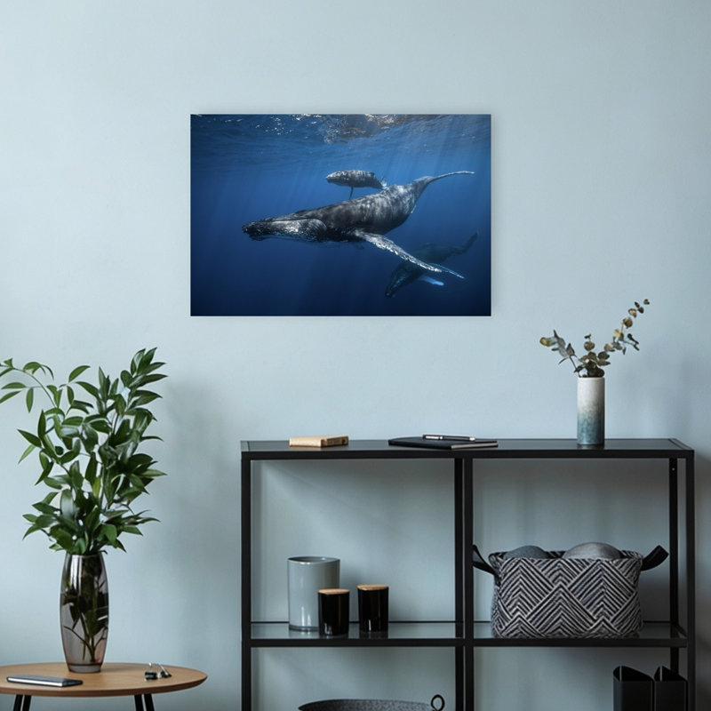Humpback Whale Family Peaceful Serene Contemporary Whale Nature Ocean Wall Art Print 1 Piece Wrapped Canvas Wall Art