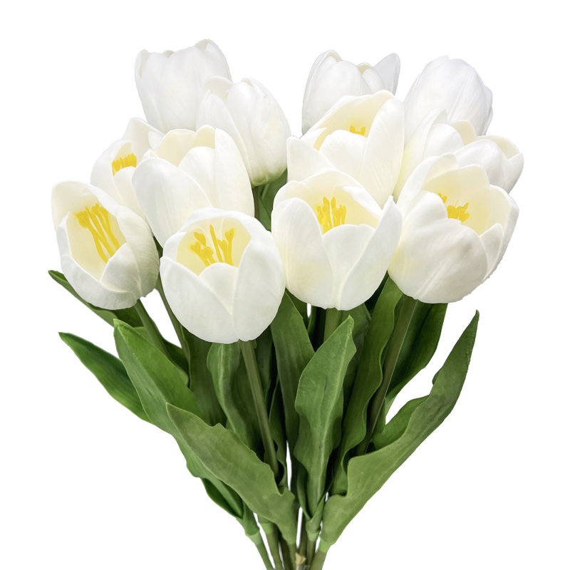 Tiges de tulipes, Blanc