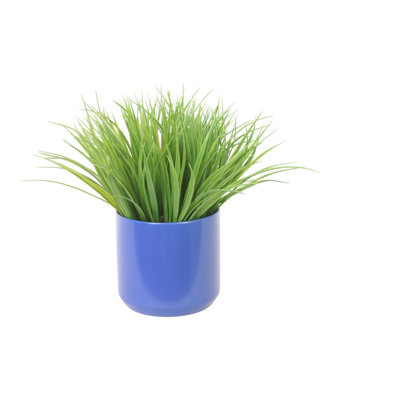 Vanille dans un contenant bleu