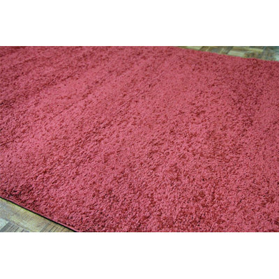 Indoor Rug