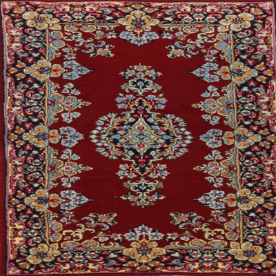 Antonasia Oriental Indoor Rug