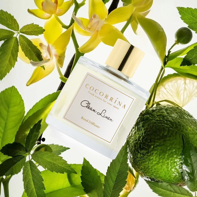 Diffuseur en roseau cachemire vanille, Cachemire vanille
