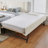 Full Size Vertical Channel Tufted Headboard & Nailhead Trim Space Saving Upholstered Bed, Multi-functional Design with 2 Storage Drawers and Pull-out Trundle Bed, Chenille