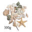 Ensemble 24 pièces de coquillages Tina