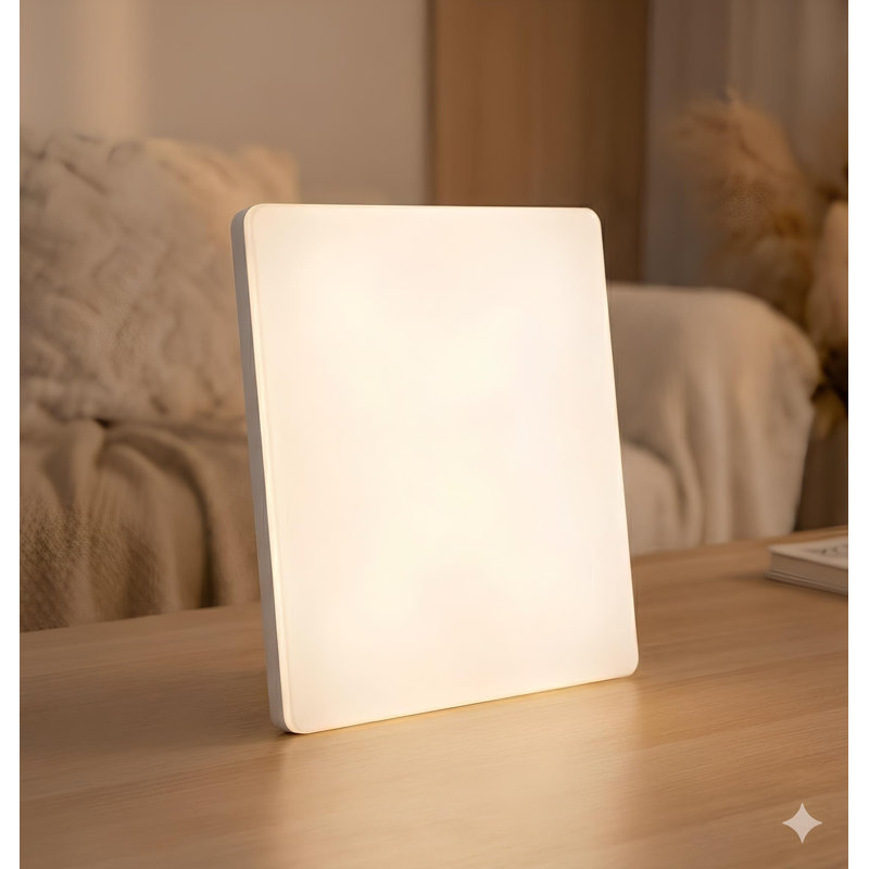 Ensemble de 5 ampoules à DEL 12 po, H 1,77 po x l 11,93 po x P 11,93 po, Carré/Rectangle, 24 W