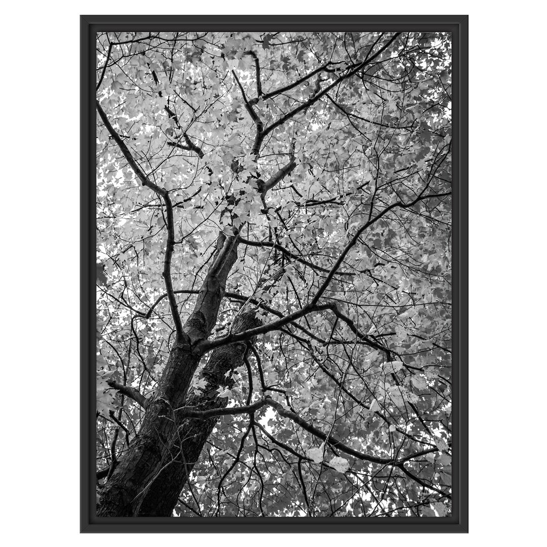 Gerahmtes Wandbild Feurige Herbstblätter Kunst B&W