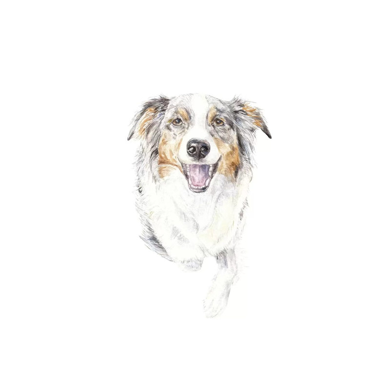 Smiling Australian Shepherd by Wandering Laur - Wrapped Canvas Painting, 20.32 cm H x 30.48 cm W