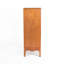 Armoire de salle de bain moderne