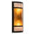 Dashanda Flush Mounted Sconce