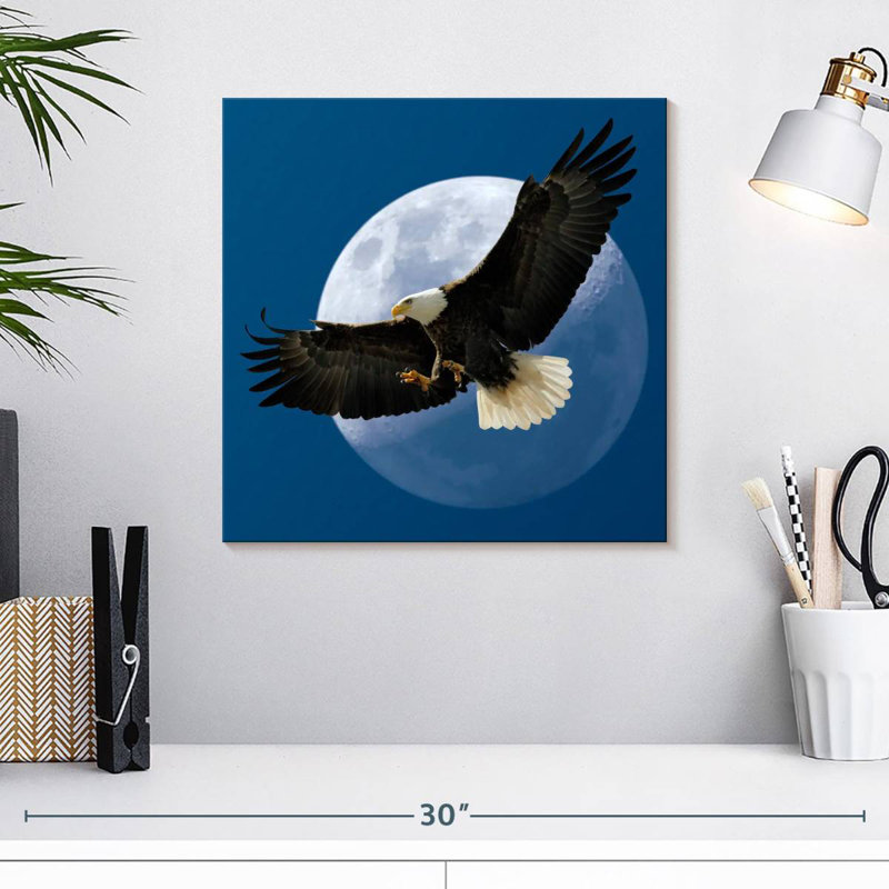 Crowle Midnight Bald Eagle, 16" H x 16" W