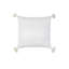 Bianca Velvet Pillow Cover & Insert-117215464-117215465-97691407