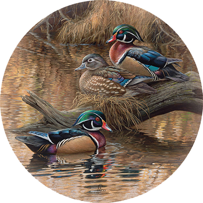 Sitting Pretty, 21" Round, Wood Wall Art Sign