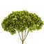 Natural Botanicals 15" Hydrangea with Multiple Branch Segments, Preserved-846458523