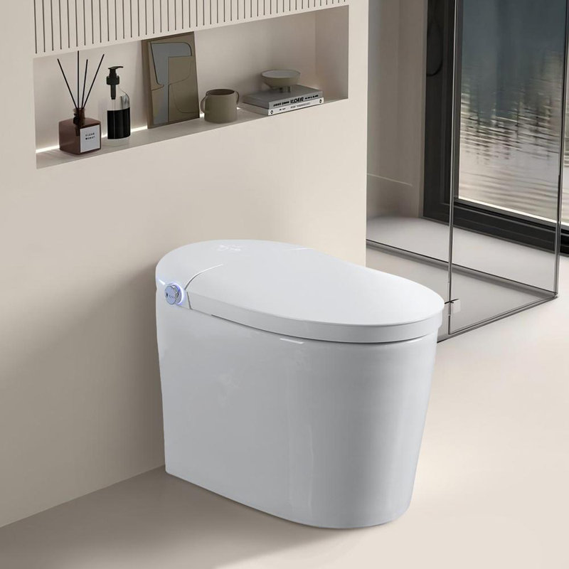 Smart Toilet