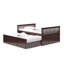 Marco Island Captain's Bed with Trundle Bed and Drawers-1025177853-1025177827
