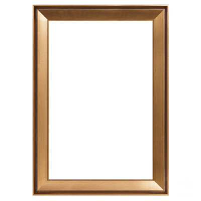 Canves Floater Picture Frames Antique Gold