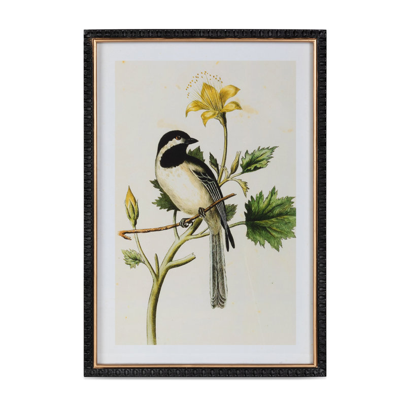 Summer Bird Framed Prints